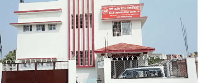 नेरुडे लघुवित्तले संस्थापक समुहको सेयर लिलामीमा विक्री गर्ने