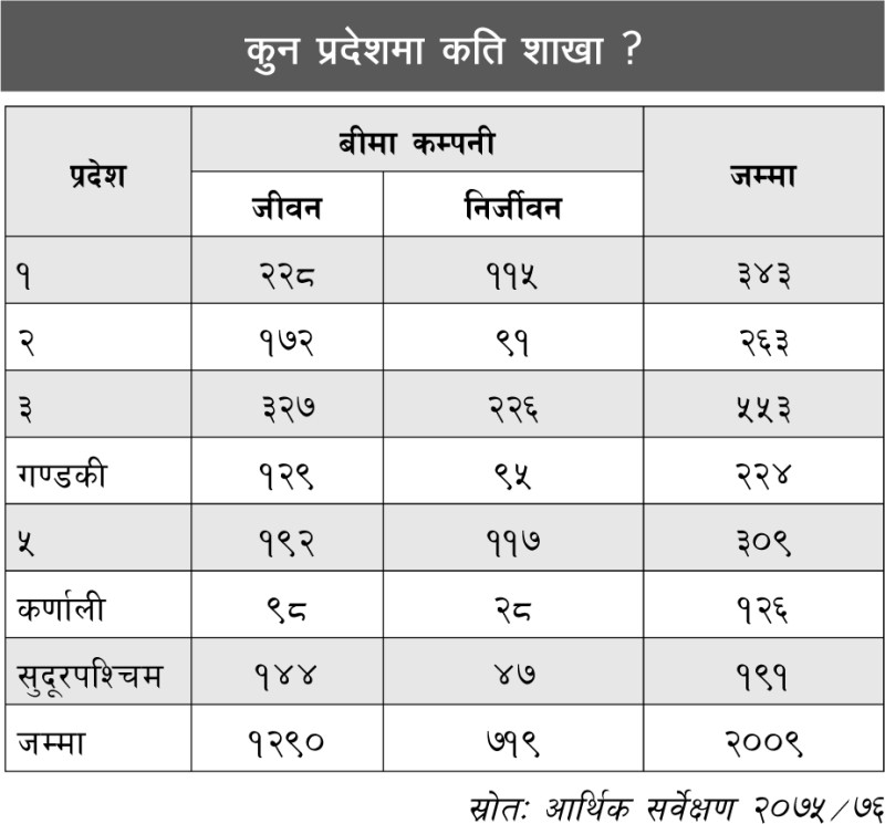 आर्थिक सर्वेक्षणमा बीमाक्षेत्र : लगानीयोग्य पूँजी साढे २ खर्बभन्दा बढी