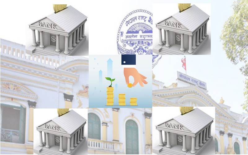 क्रश होल्डिङ के हो ? किन हेर्दैछ राष्ट्र बैंकले विवरण ?