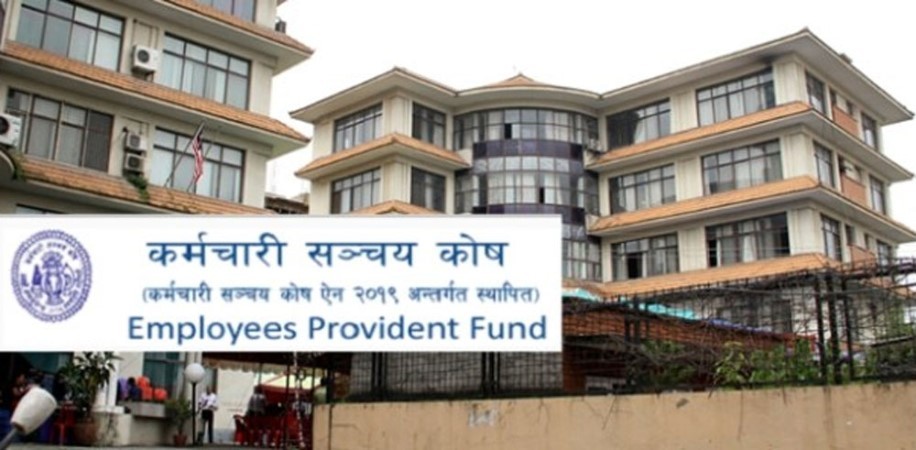 कर्मचारी सञ्चय कोषमा खुल्यो जागिर, कुन पदमा कति ?