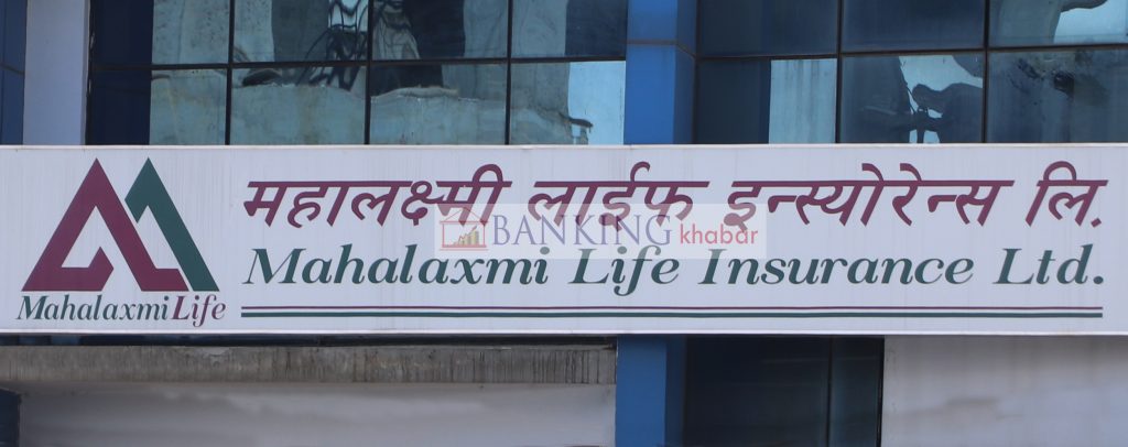 महालक्ष्मी लाइफ इन्स्योरेन्सको अधिकांश सूचक सकारात्मक