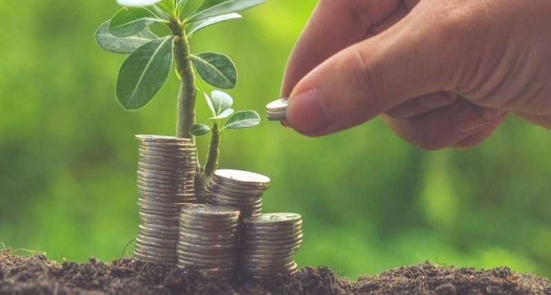 कृषि उत्पादनमा प्रदेश २ को योगदान महत्वपूर्ण