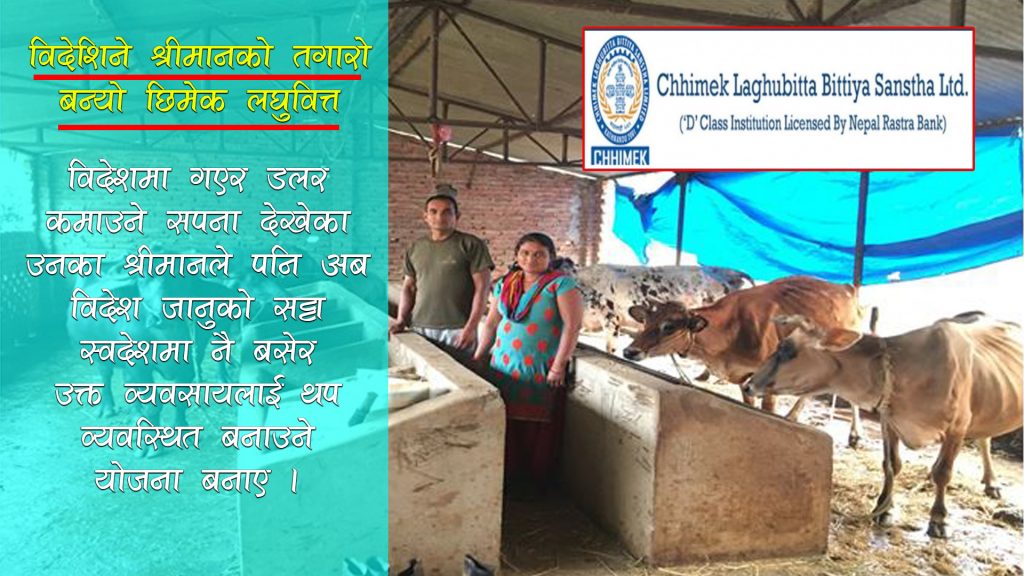 विदेशिने श्रीमानको तगारो बन्यो ‘छिमेक लघुवित्त’
