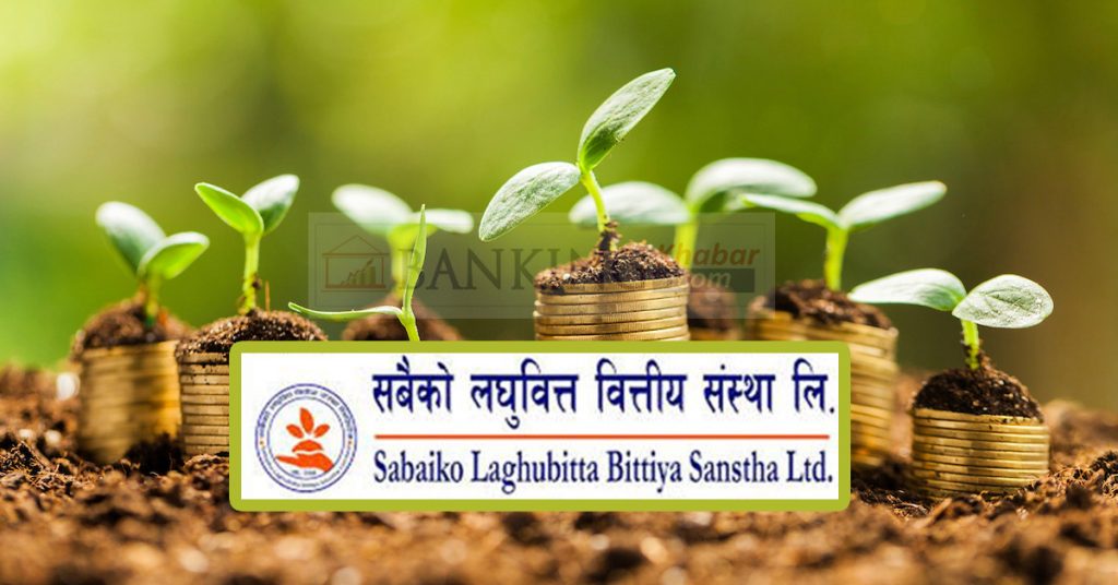 सबैको लघुवित्तको लाभांश सुरक्षित गर्ने अन्तिम मौका आजसम्म मात्र