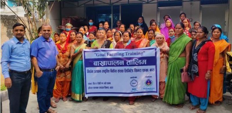 निर्धनद्वारा सिमराका विपन्न महिलालाई व्यवसायिक बाख्रापालन तालिम प्रदान