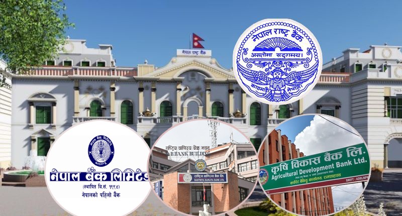 निजी बैंकलाई मर्जरमा फोकस गरेको राष्ट्र बैंकले सरकारी बैंकलाई के गर्ला ?