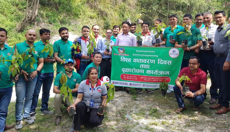 विश्व वातावरण दिवसमा मुक्तिनाथ फाउण्डेसनद्वारा टोखामा वृक्षारोपण