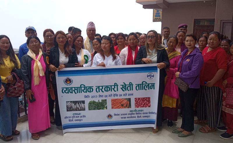 निर्धन लघुवित हिले शाखाद्वारा व्यवसायिक तरकारी खेती तालिम सम्पन्न