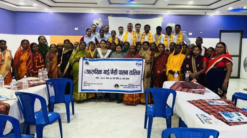 निर्धन उत्थान लघुवित्तका ग्राहक सदस्यलाई व्यवसायिक गाई,भैंसीपालन तालिम