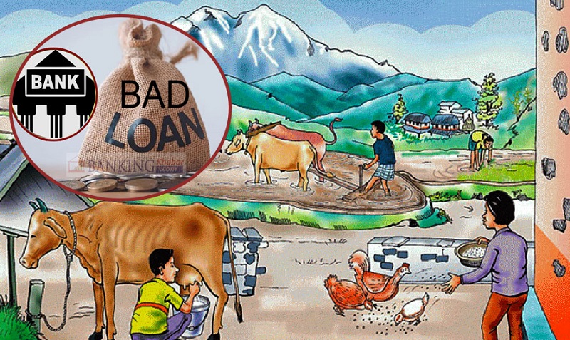 कर्जा फिर्ता नहुने जोखिममा मत्स्यपालन, कृषि र निर्माण क्षेत्र अगाडि