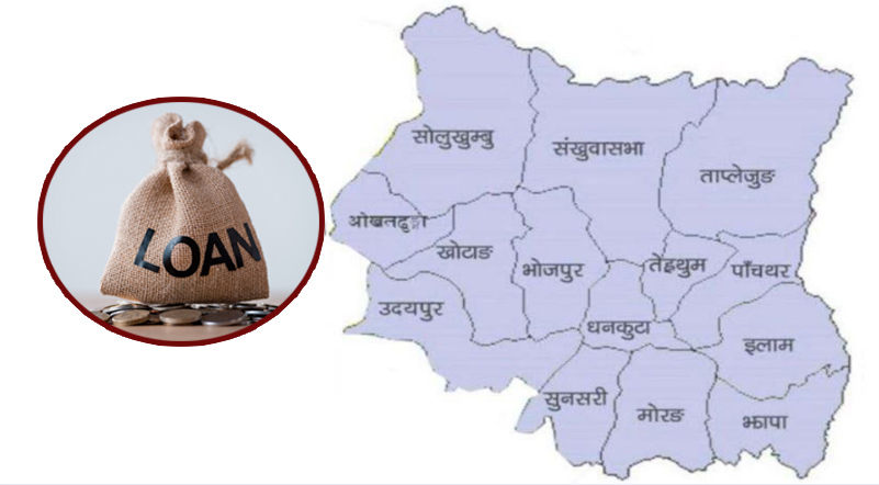 कर्जा दिन नसक्ने अवस्थामा कोशीका बैंक, वित्तीय संस्था