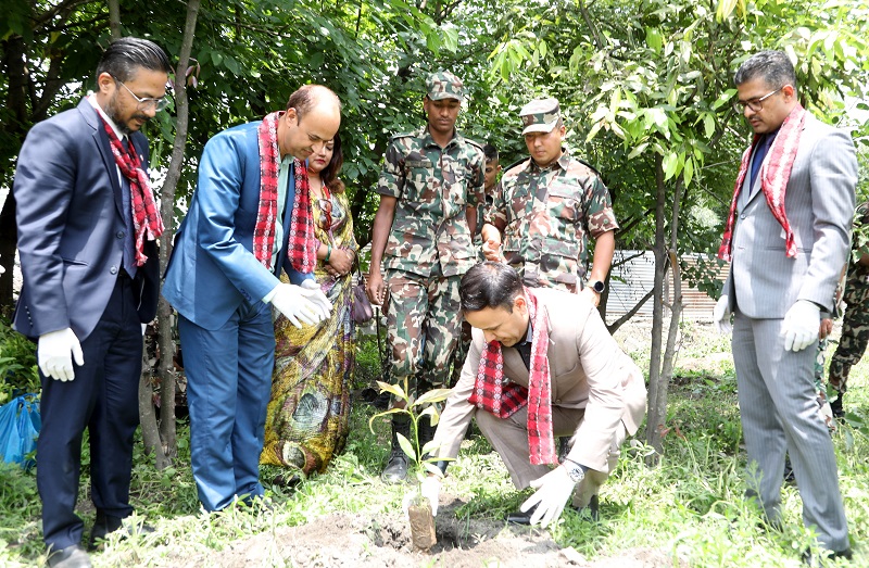 विश्व वातावरण दिवसको अवसरमा ग्लोबल आइएमई बैंकद्वारा देशव्यापी वृहत् वृक्षारोपण