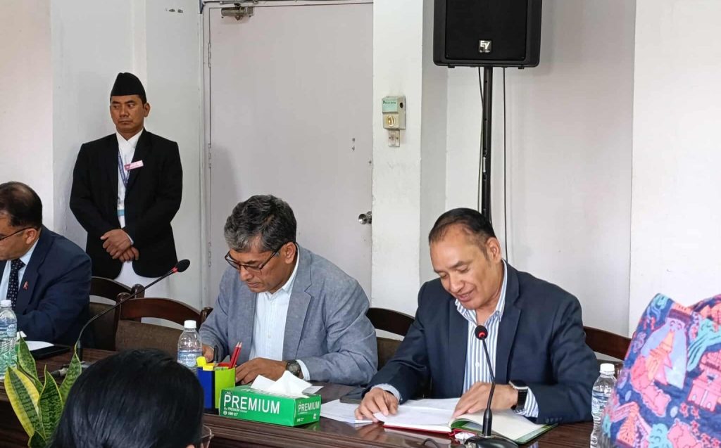 निर्देशित कर्जा खारेज गर्नुपर्ने नरबहादुर थापाको सुझाव