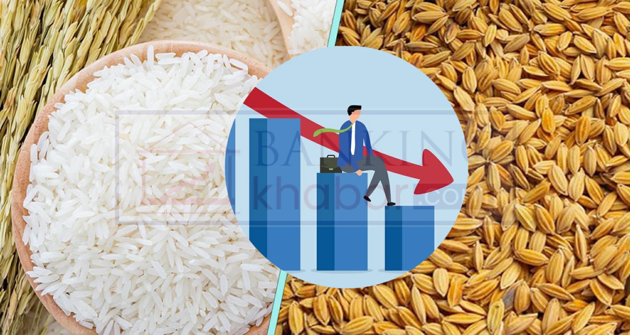 २०१८ सालमा ३ लाख मेट्रिकटन चामल निर्यात, गत ६ महिनामा  भित्रियो २० अर्बको चामल !