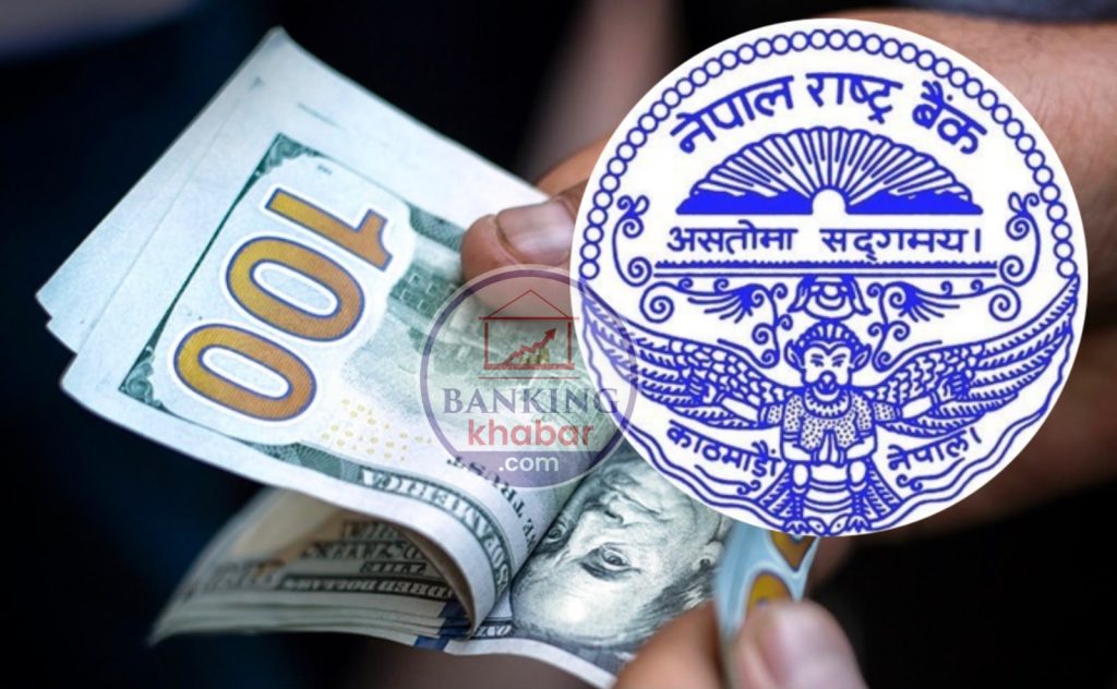 नेपाल आउँदा–जाँदा कति विदेशी मुद्रा ल्याउन पाइन्छ ? राष्ट्र बैंकले दियो स्पष्ट जवाफ
