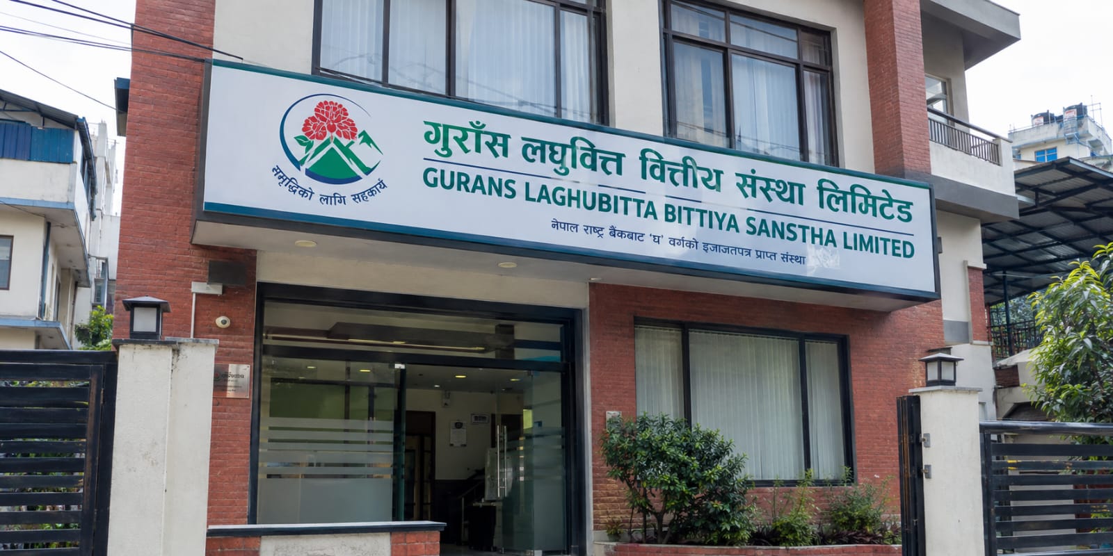 गुराँस लघुवित्तले दिने भयो १० प्रतिशत लाभांश, असोज २७ सम्म सेयर किन्नुपर्ने
