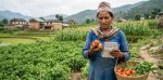 लघुवित्तको कृषि कर्जा बढ्दैमा किसानको आम्दानी बढ्यो त?
