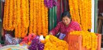 तिहारले ततायो फूल बजार, ६४ करोड ५० लाखको कारोबार हुने अनुमान
